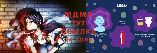 стаф Верея