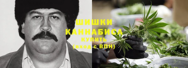 стаф Верея
