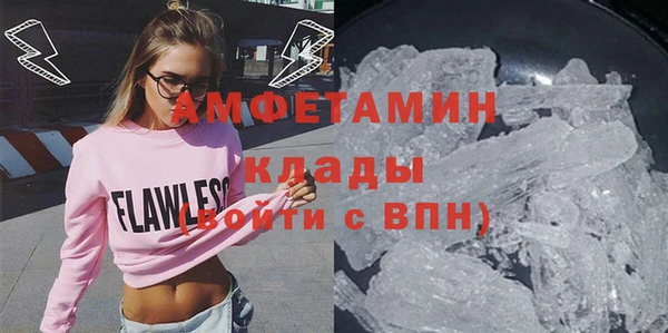стаф Верея