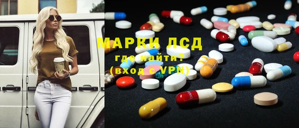 стаф Верея