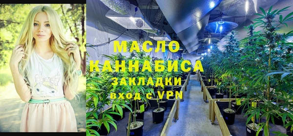 стаф Верея