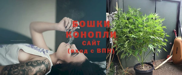 стаф Верея