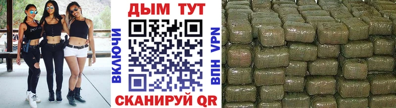 купить наркотик  Черноголовка  Марихуана гибрид 